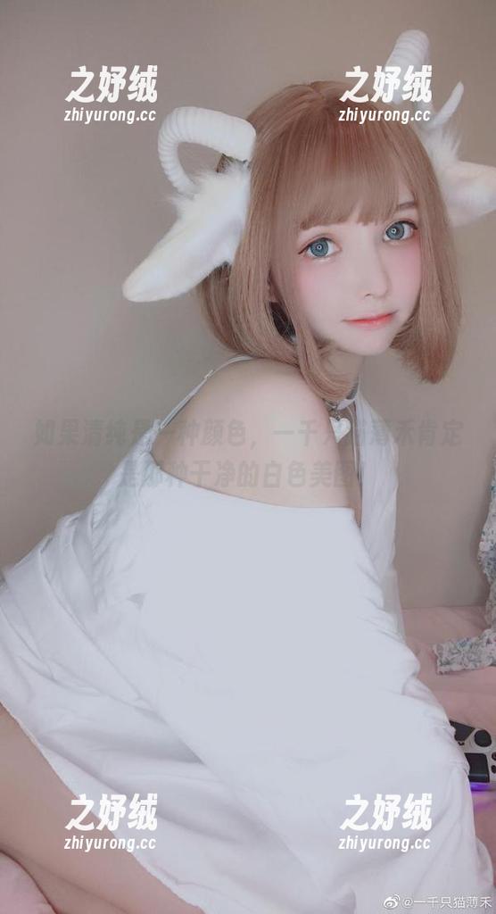 如果清纯是一种颜色，一千只猫薄禾肯定是那种干净的白色美图！