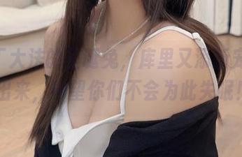 `布丁大法的圣诞兔，库里又添新宠，分享出来，希望你们不会为此失眠！`