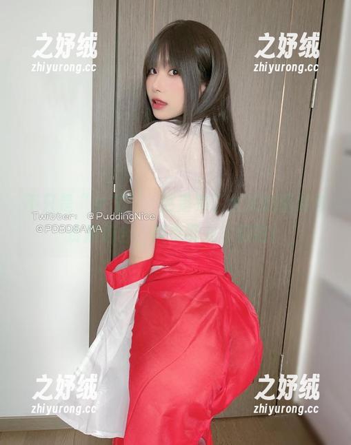 不只是“女友”，更是布丁大法的图集与资源组合，快来调戏它们吧！