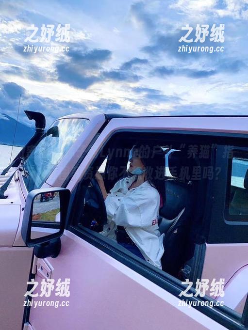 微密圈 - 林子喵Lynne的户外“养猫”指南，套图和资源你不想收进手机里吗？