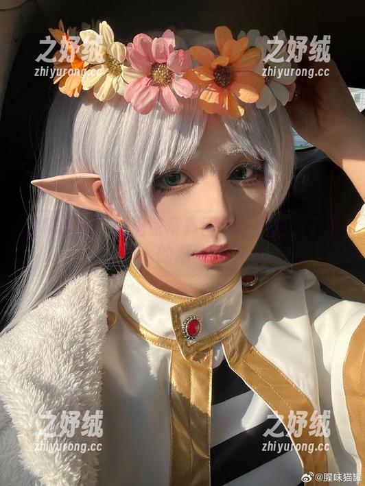 腥味猫罐：这居家写真图包让我想到了猫的懒散