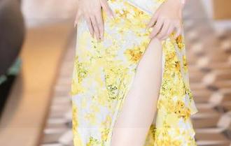 语画界 – 别让李丽莎的白裙在这里孤独，我这儿有“免费资源”拿来为它增光添彩！